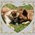 Lynn Oshiro's profile image