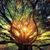 David Brown's profile image
