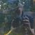 Keli-Rae Skylling's profile image