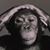 Rob Campbell's profile image