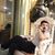 Behzad Kardo's profile image