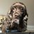 Dawn Smith Morris's profile image