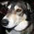 Heather Lynch Penner's profile image