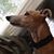 Jackie Robichaux Suire's profile image