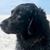 Barney Fitzgerald's profile image