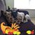 Diane Nelli's profile image
