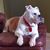 Kathy Giddens Struve's profile image