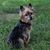 Beth Geier Henderson's profile image