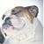 Lynn Burnette's profile image