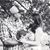 Kellye Bivens Mckheean's profile image