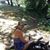 Terrie Romero's profile image