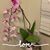Teresa Norton Grant's profile image
