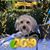 Audrey Montanez's profile image