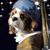 Abby Perry-Hartman's profile image