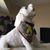 Misty Snow's profile image