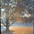 Pattie Smith's profile image