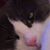 Grace Muir's profile image