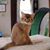 Linda Bronwell's profile image
