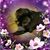 Kathy Domijan's profile image