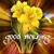 Elizabeth Lazo's profile image