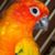Deb Bignell's profile image
