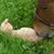 Fiona Harriss's profile image