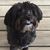 Shelly Drennan Cobb's profile image