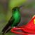 Linda Newton Largent's profile image