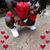 Jackie Cunningham's profile image