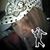 Sandra Lung Abla's profile image