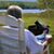Sue Goldfarb's profile image