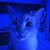 Tammy Mathes's profile image