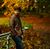 Sudhanva Kc's profile image