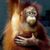 Delford Arthur's profile image
