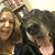 Virginia Mahoney Aylward's profile image