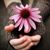 Jillyanna Morris's profile image