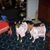 Peggy Musall's profile image
