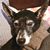 Lyn Witt Orris's profile image