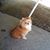 Marie G. Pescatore's profile image