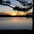 Sally Kozlowski's profile image