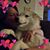 Diana Brent's profile image