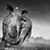Tim Schlink's profile image