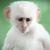 Steve Perez's profile image