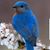 Vivian McBee Hamon's profile image