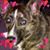 Karen Wiseley's profile image
