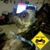 Tina Ash Krug's profile image