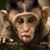 Michelle Greb's profile image