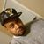 Delwin Robinson Sr.'s profile image