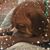 Katie Butland's profile image
