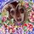 Jane Fedonhk's profile image